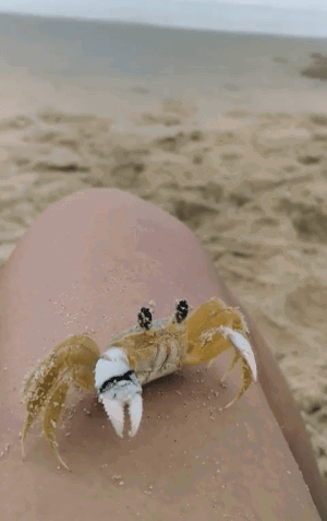 ILPKhX.gif