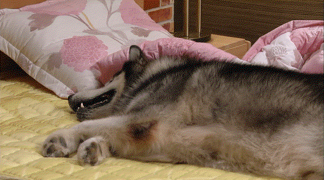 IMuJrn.gif