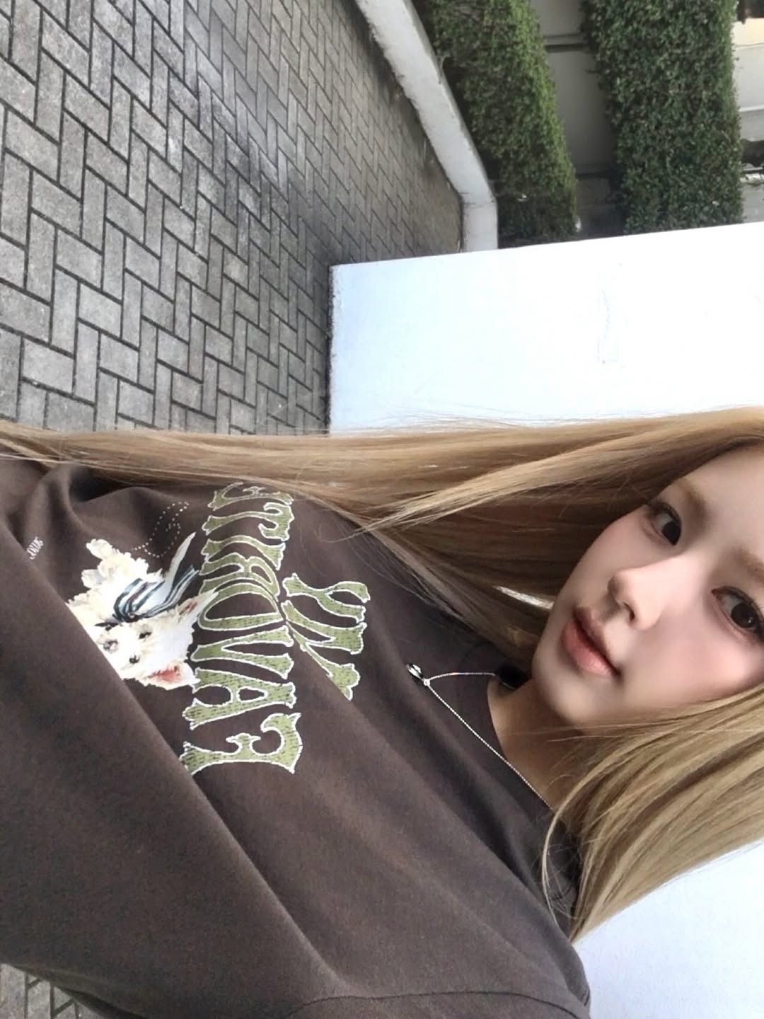 INAHfE