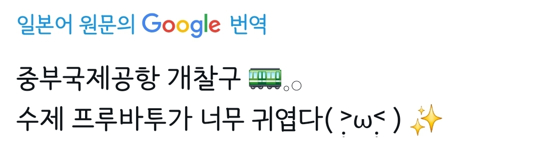 일본 공항 개찰구에 뿔바투