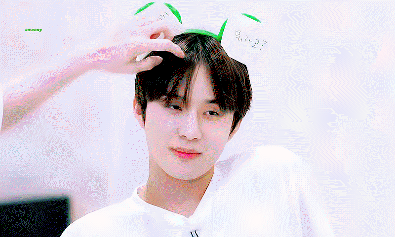 IQrtbN.gif