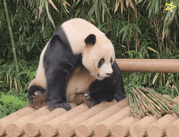 ITEjqf.gif