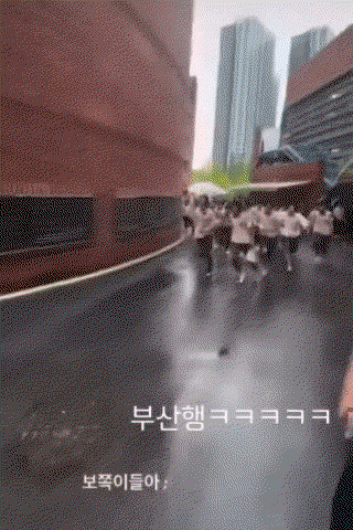 ITynXW.gif