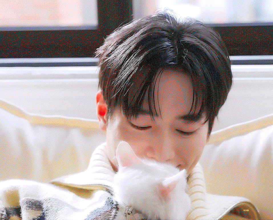 IVjVds.gif