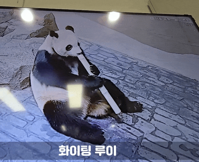 IWkTAV.gif