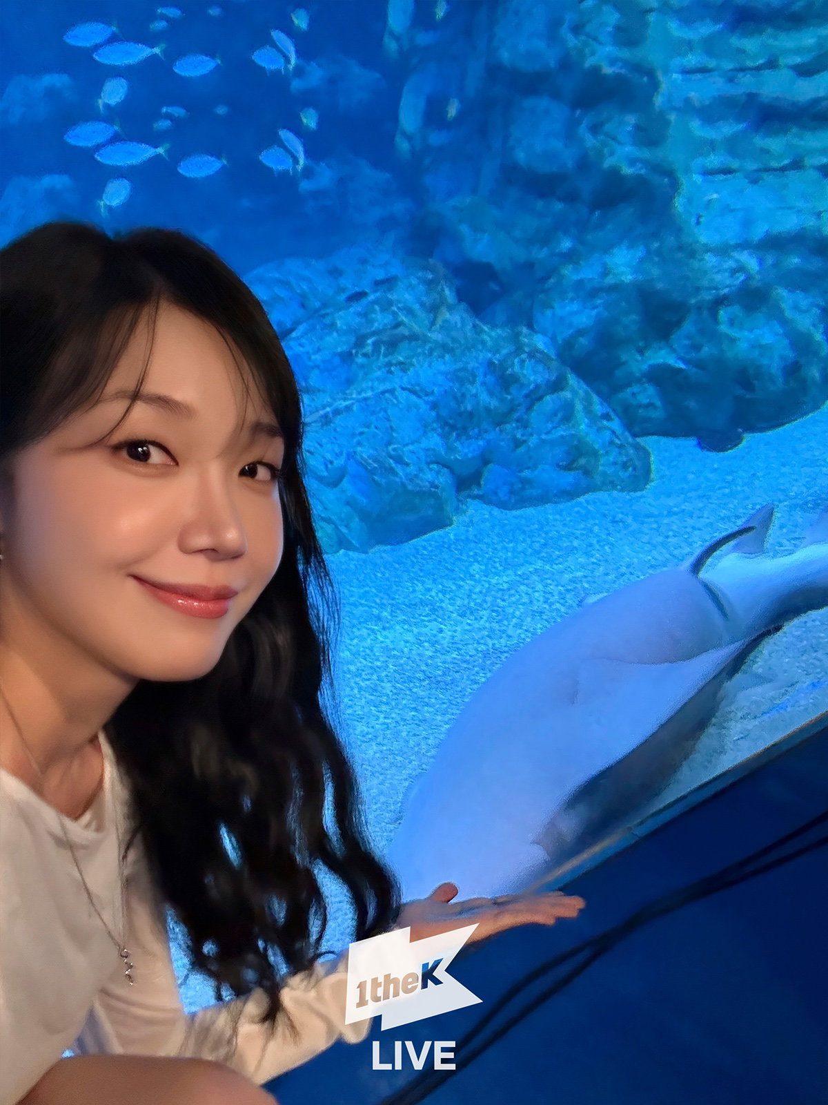 IYIpeS