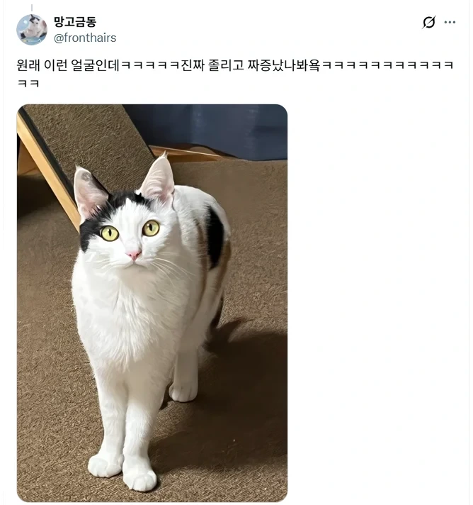 IYwUAM