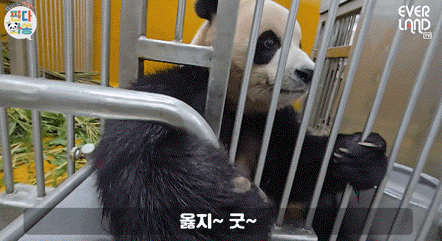 IaHqfI.gif