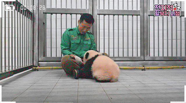 IazcDF.gif