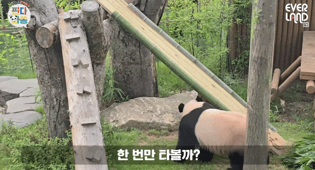 IhsLAO.gif