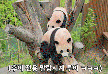 IkWeEp.gif