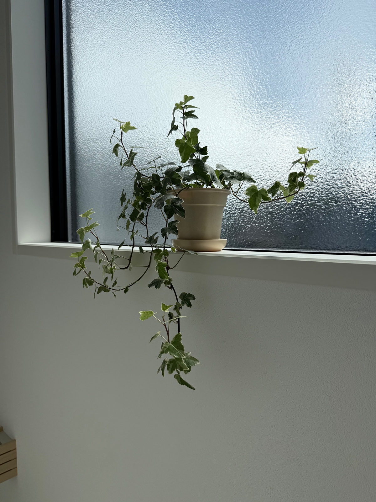 IkcIMA
