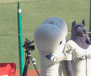 IlXvcN.gif