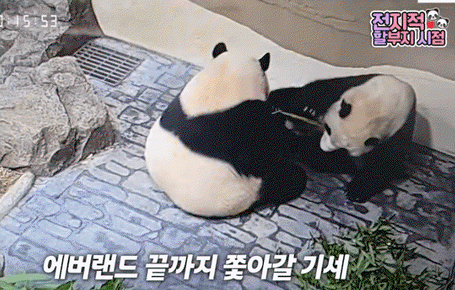 ImLhgB.gif