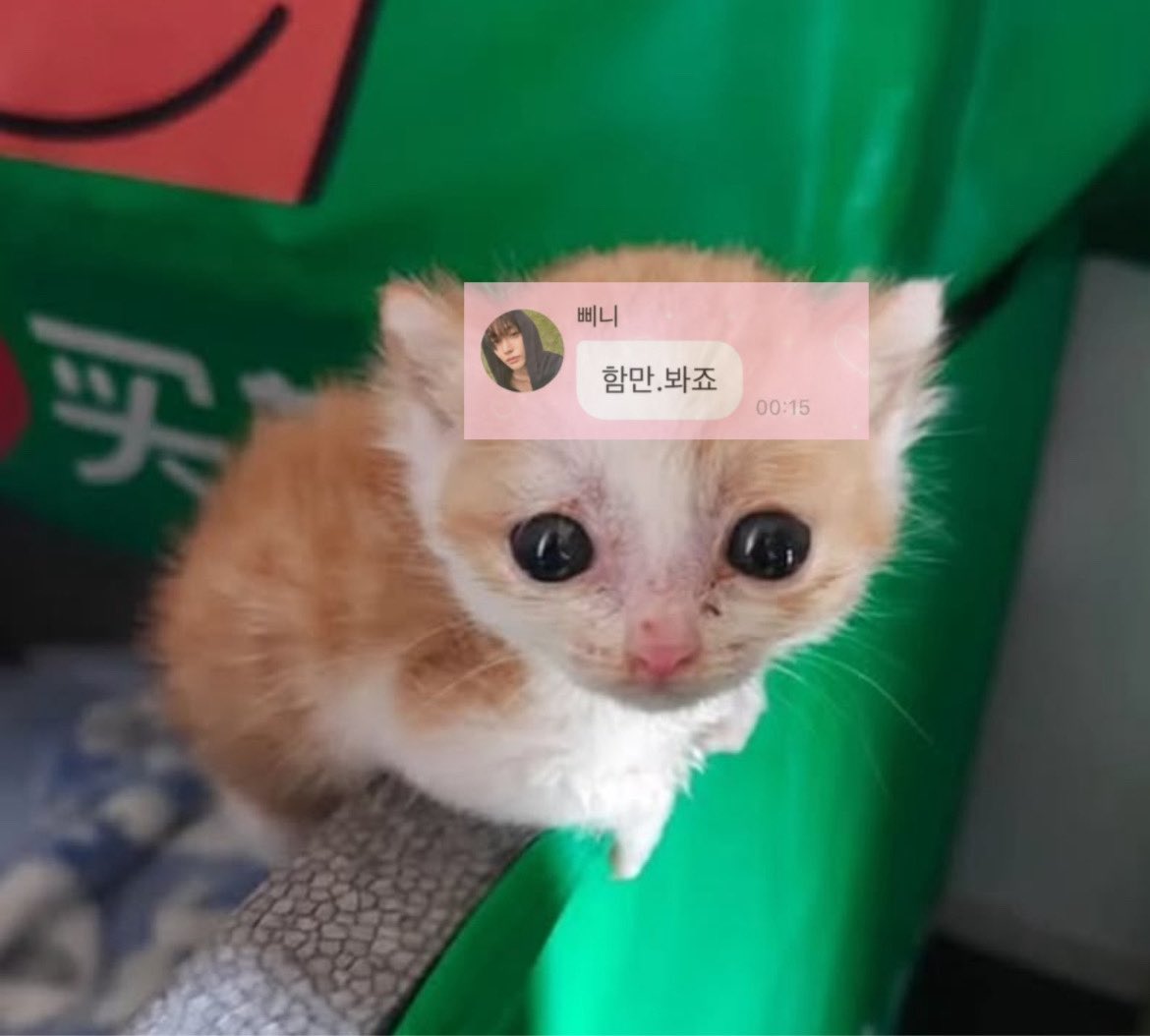 Imwwld