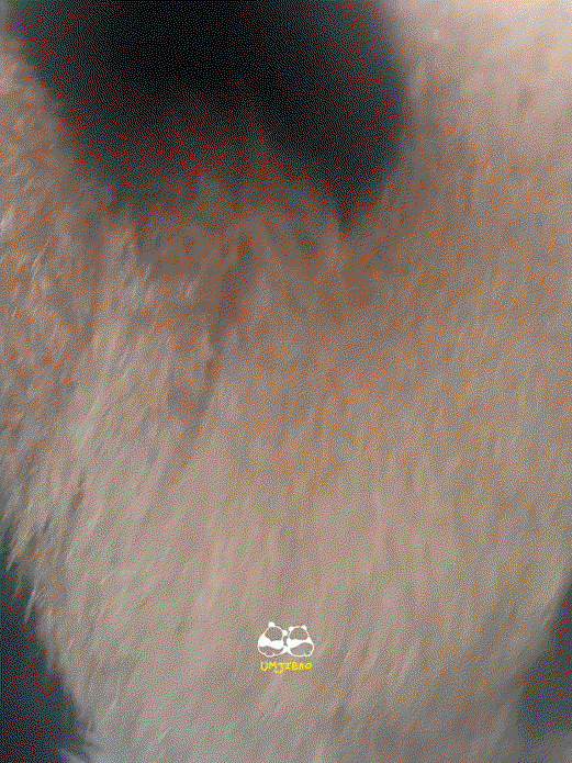InnjJn.gif