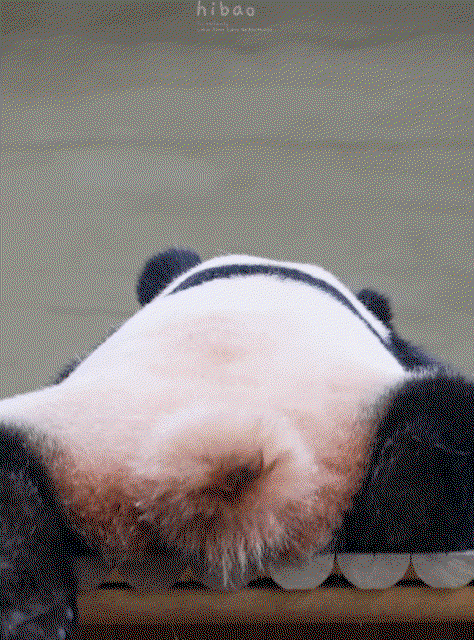 IrfIPA.gif