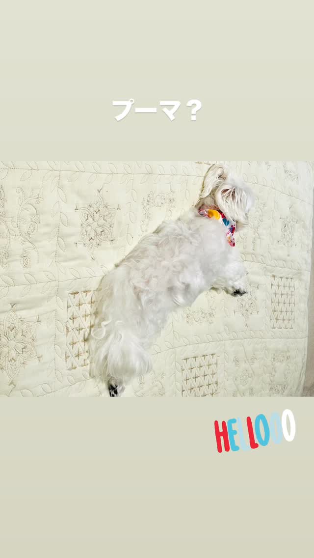 IsRrOp