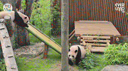 IsStdO.gif