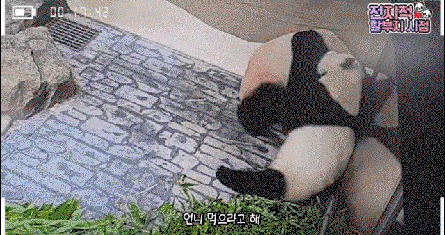 IspCzB.gif
