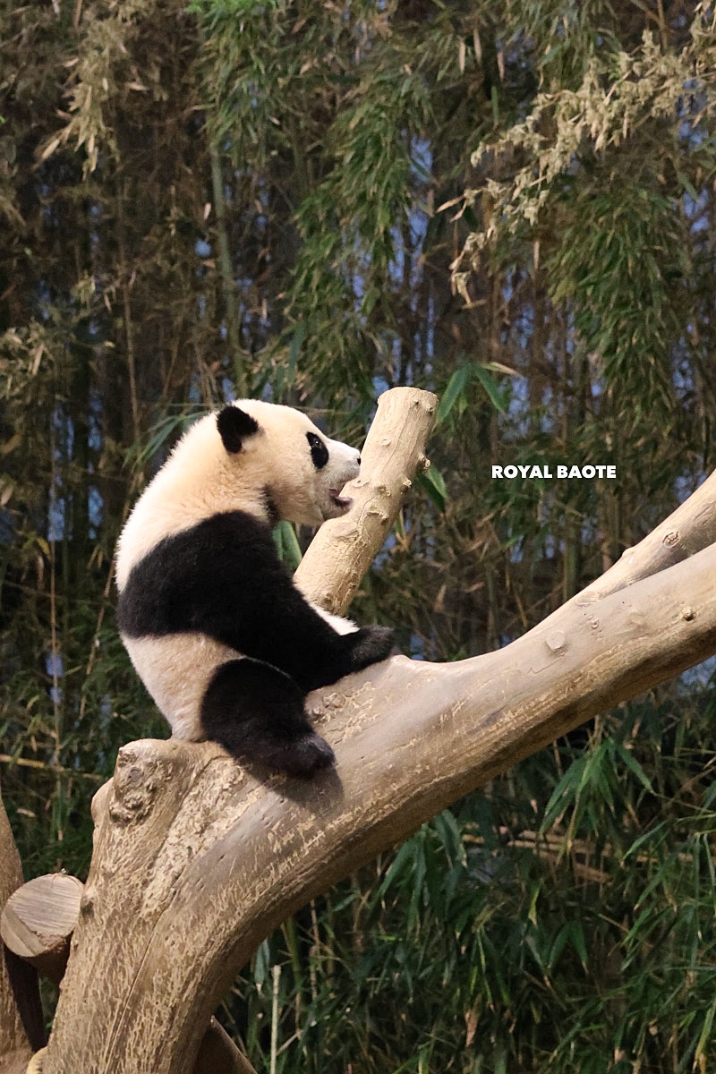 ItTKPj