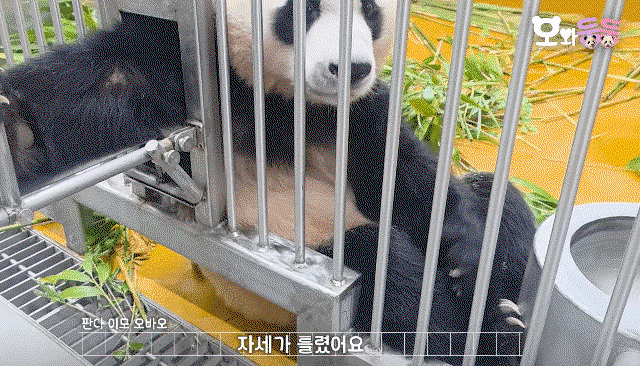 ItVRMr.gif