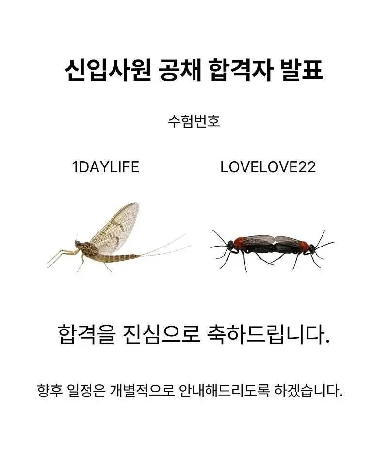 ItWUVn