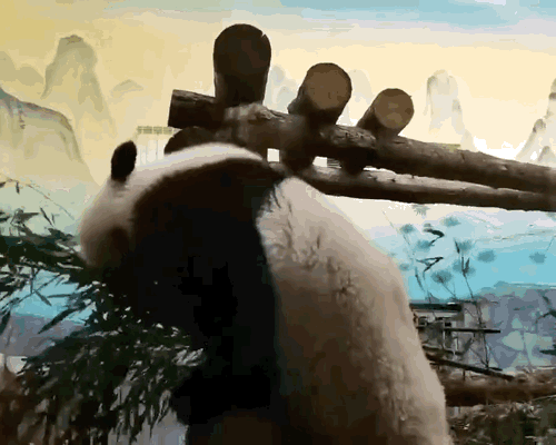 IualoV.gif