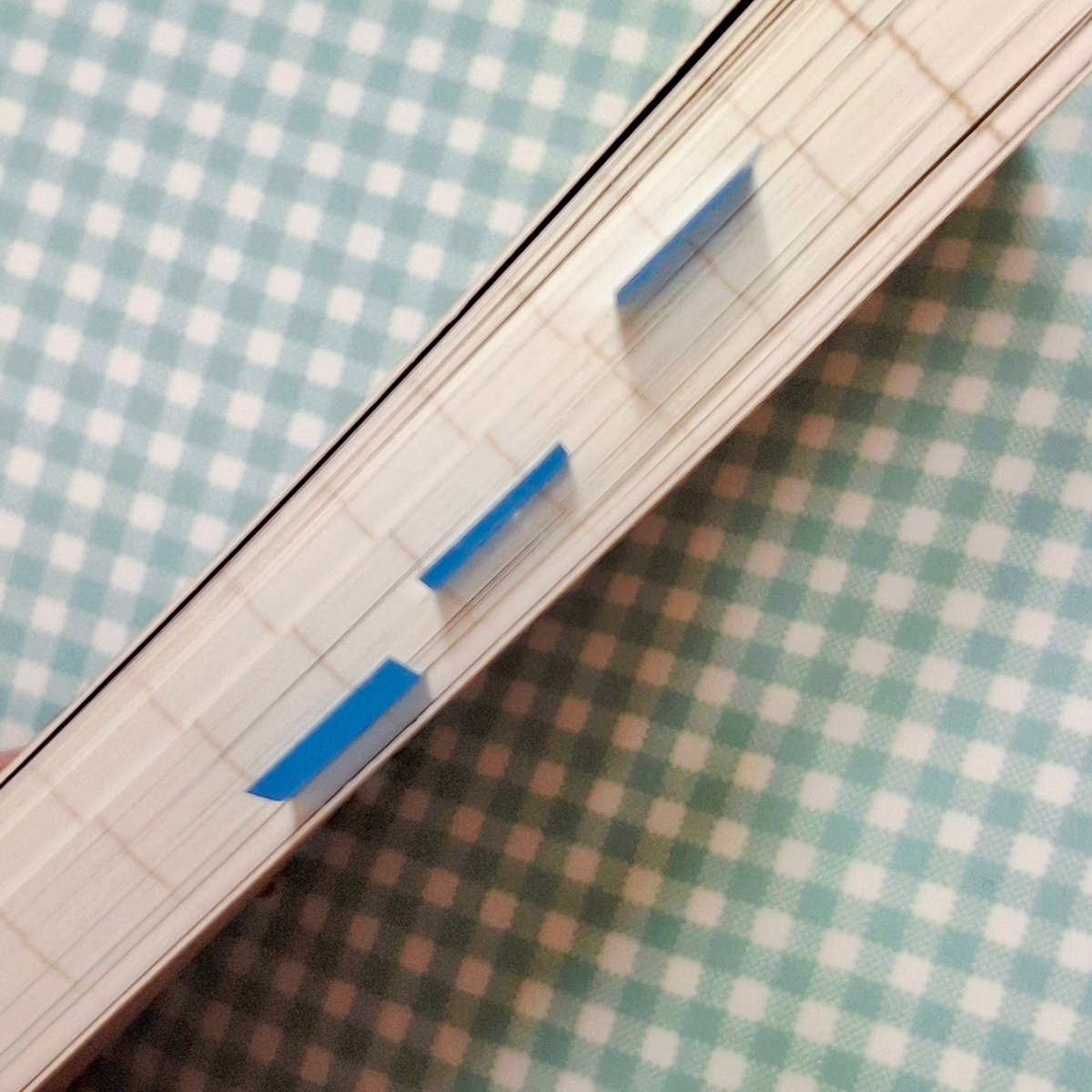 IvpnLg