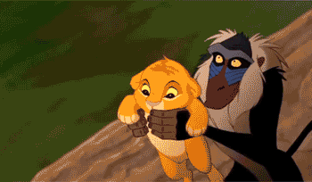 IxGSbf.gif