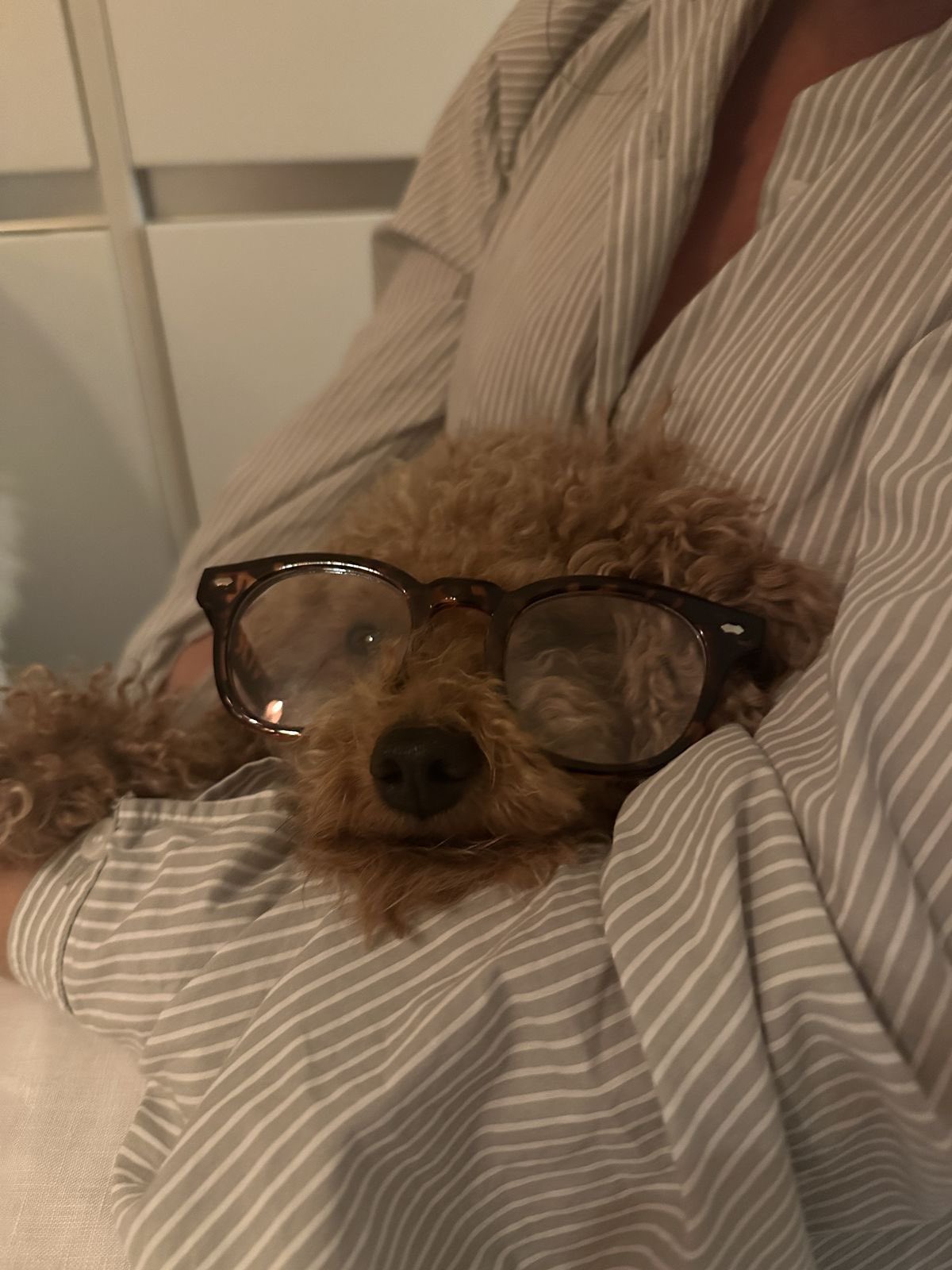 IyIDpX