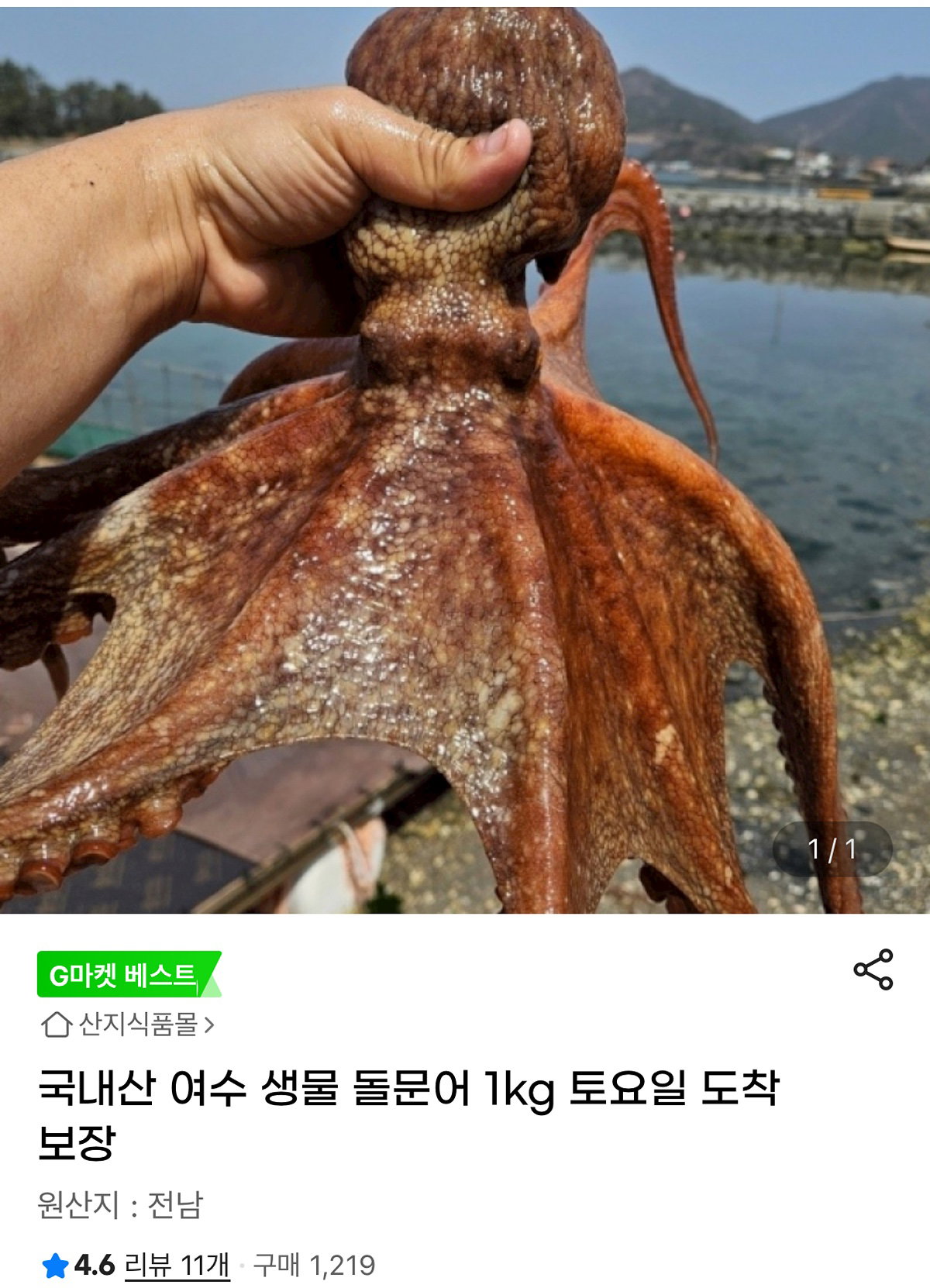 IyuBFb