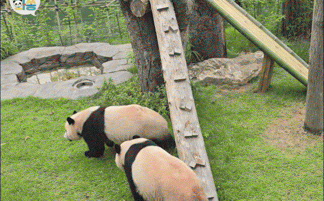 IzVXvK.gif