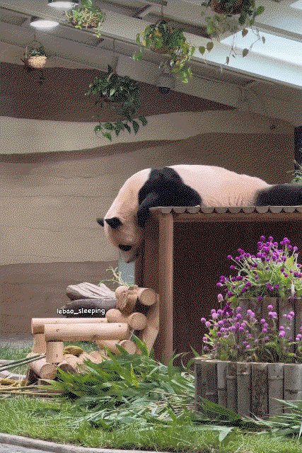 IzcrLu.gif