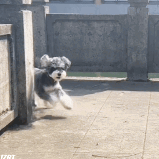JDVkSr.gif