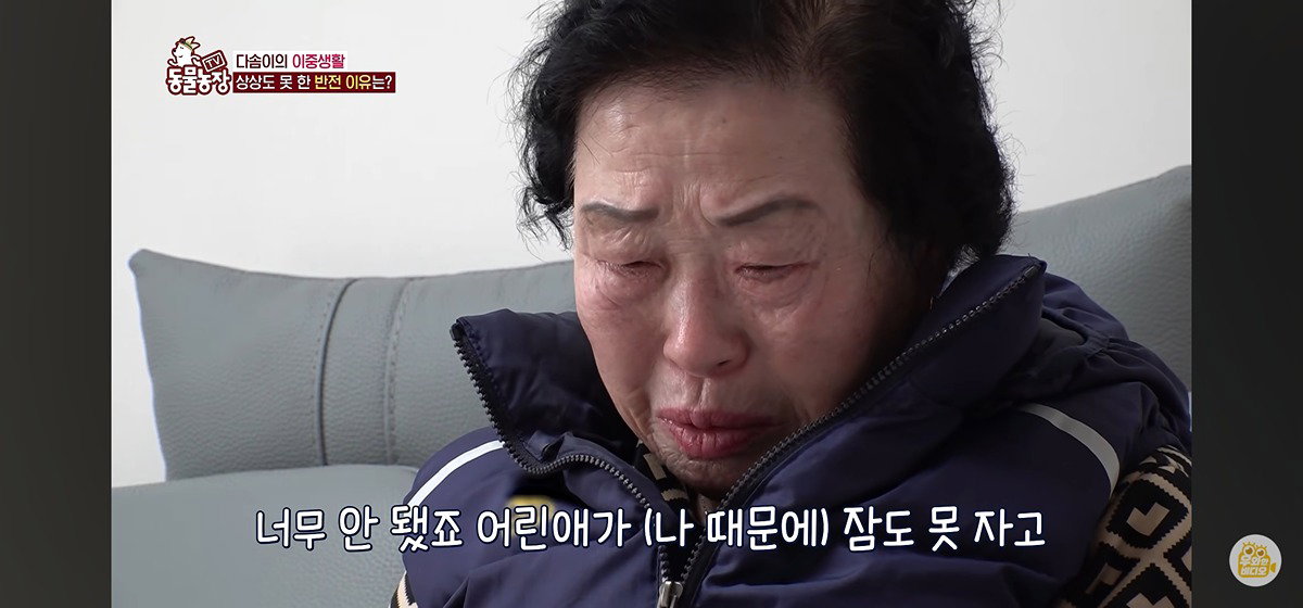 JFvCsb