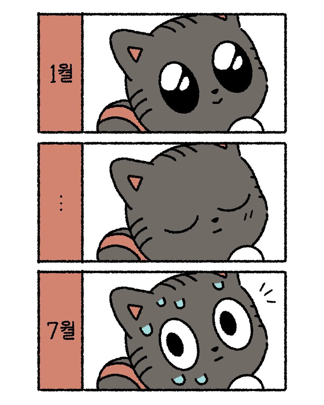 JGPbMk
