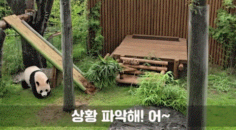 JLrJgz.gif