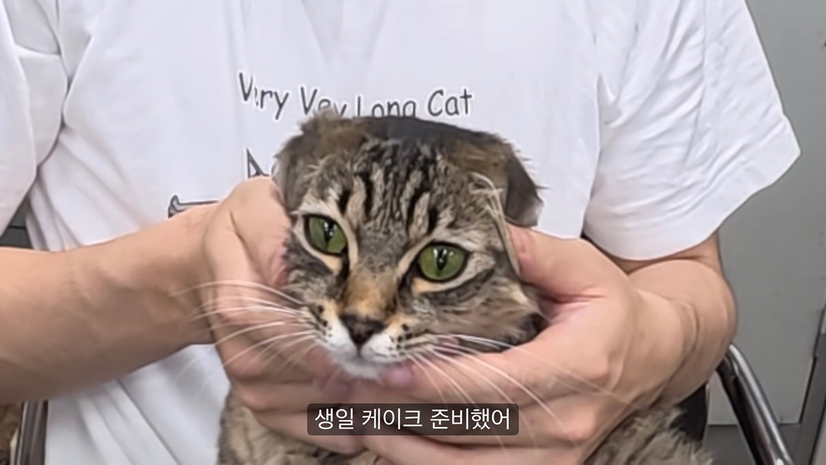 JMXtnc