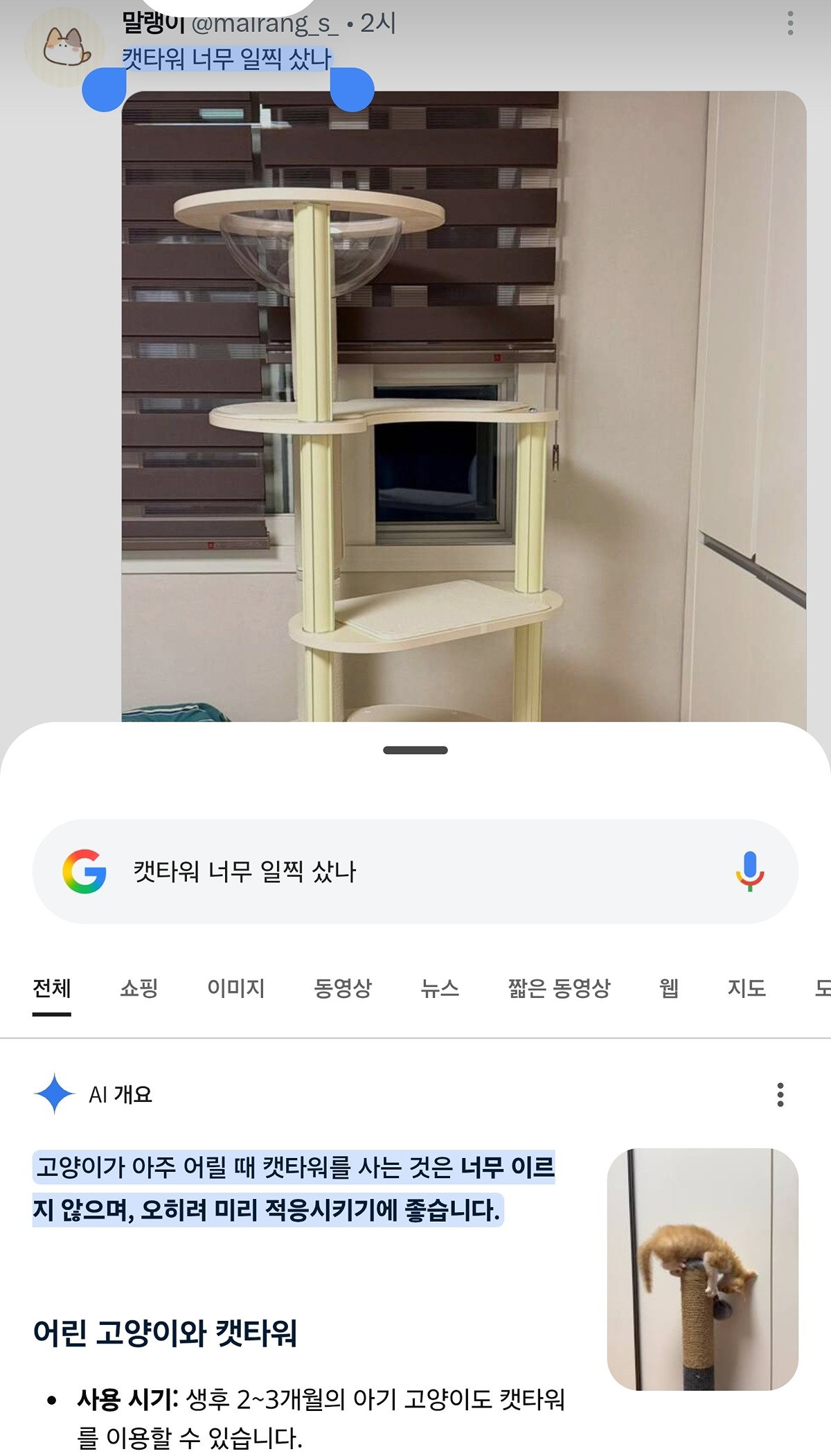 JNAnmL