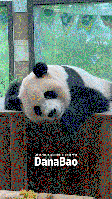 JNDFIm.gif