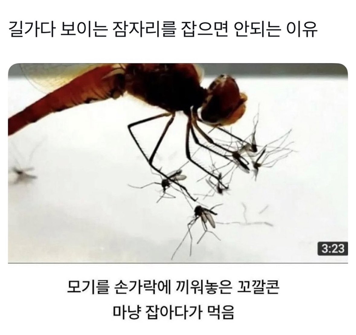 JOzUUf