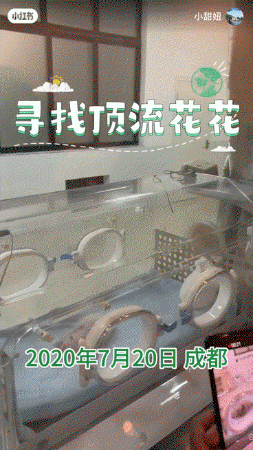 JPVbJA.gif