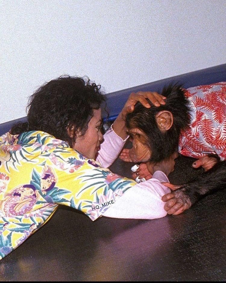 JRJAjp