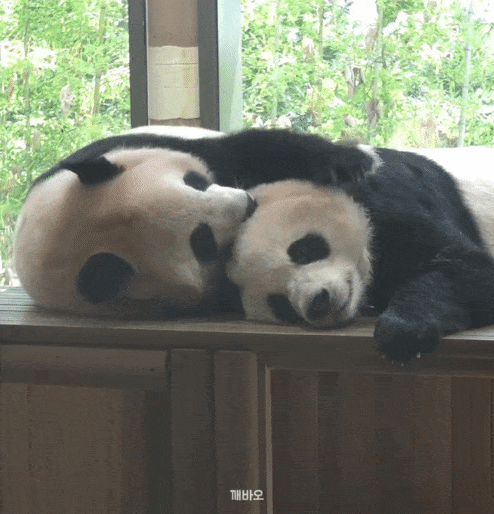 JRsnLn.gif
