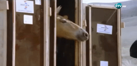 JTODQt.gif