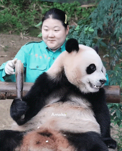 JVLQHl.gif