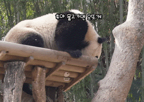 JWtjsD.gif