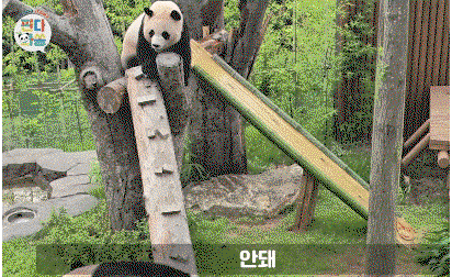 JaQiGK.gif
