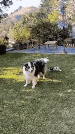 JboqQj.gif